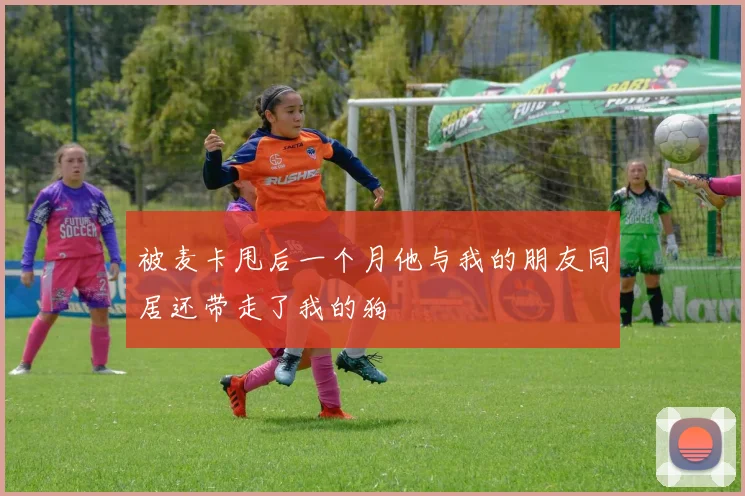 被麦卡甩后一个月他与我的朋友同居还带走了我的狗