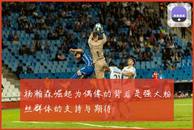 杨瀚森崛起为偶像的背后是强大粉丝群体的支持与期待