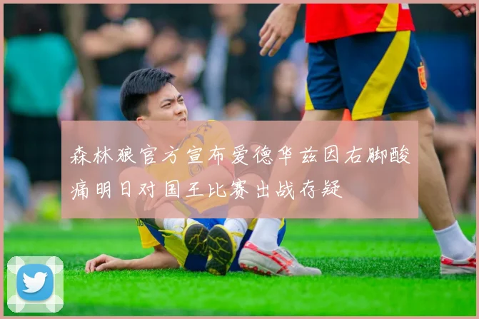 森林狼官方宣布爱德华兹因右脚酸痛明日对国王比赛出战存疑
