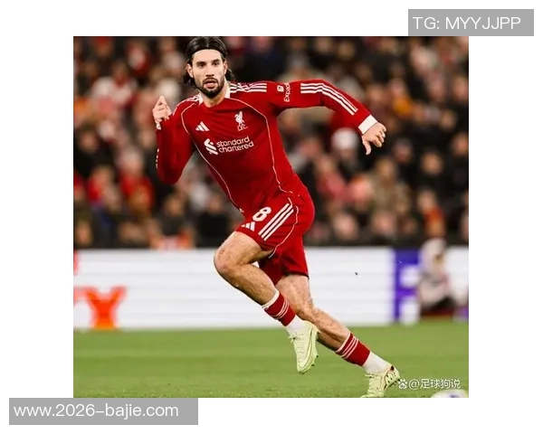 创造十次重大机会的球员仅加克波和佩里西奇在本届世欧预中脱颖而出